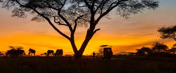 Tanzania Tours